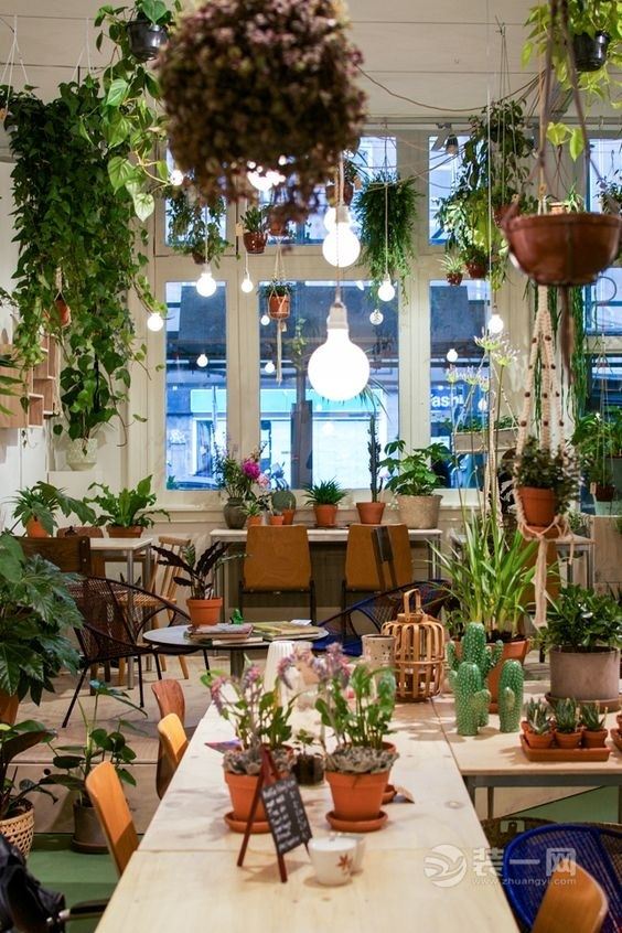 9张绿植店装修效果图 让你拥有绿意十足的文艺小店